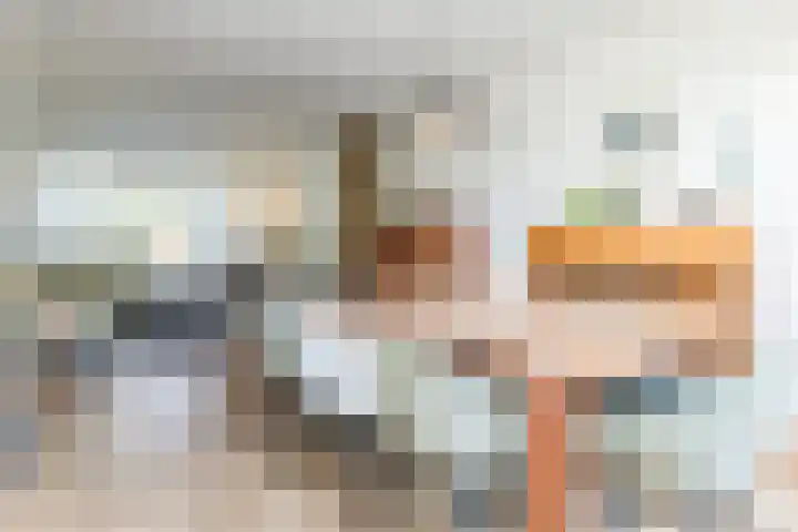 Romenkamp 47 Oirsbeek thumbnail 11