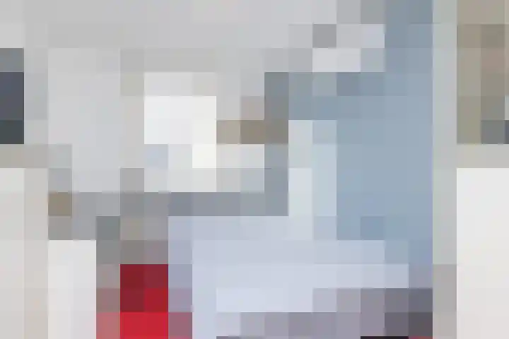 Romenkamp 47 Oirsbeek thumbnail 24