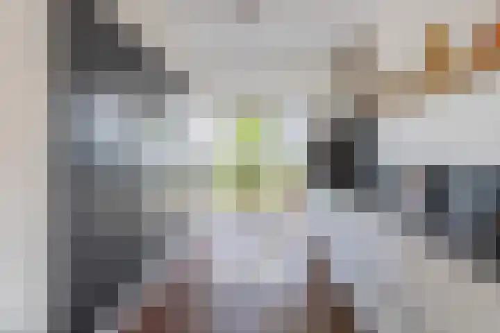 Romenpad 167 Berkel en Rodenrijs thumbnail 14