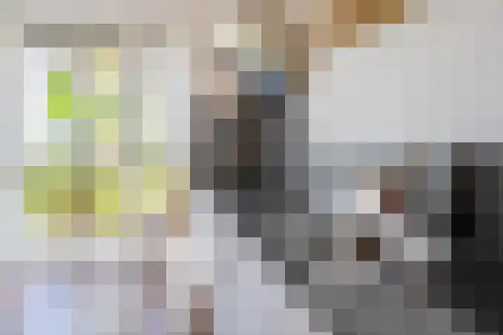 Romenpad 167 Berkel en Rodenrijs thumbnail 15
