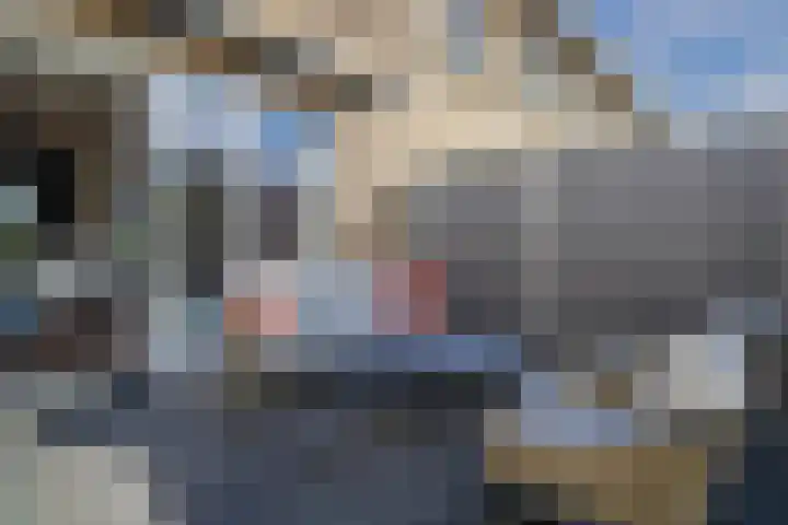Romenpad 167 Berkel en Rodenrijs thumbnail 42