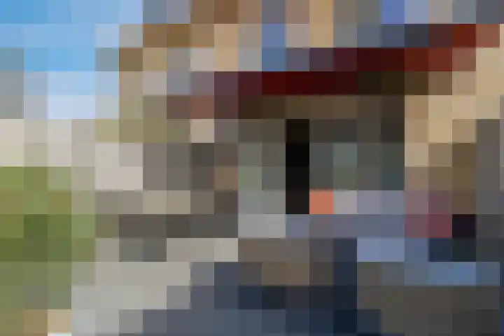 Romenpad 167 Berkel en Rodenrijs thumbnail 43
