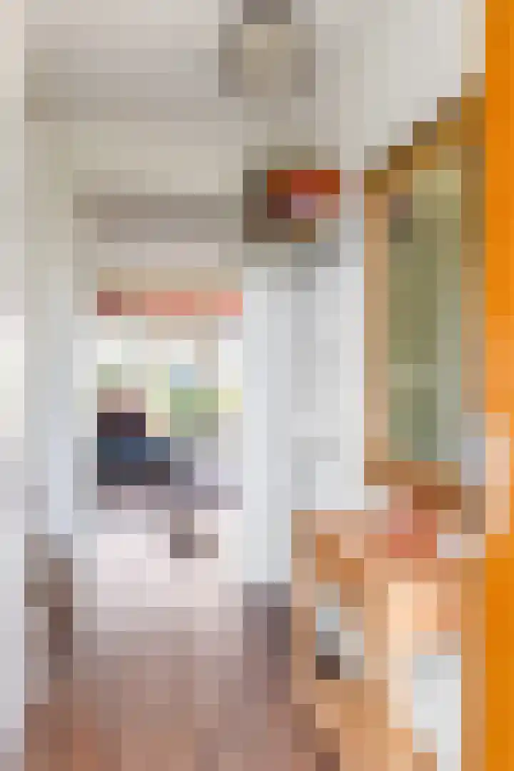 Romenpad 167 Berkel en Rodenrijs thumbnail 6