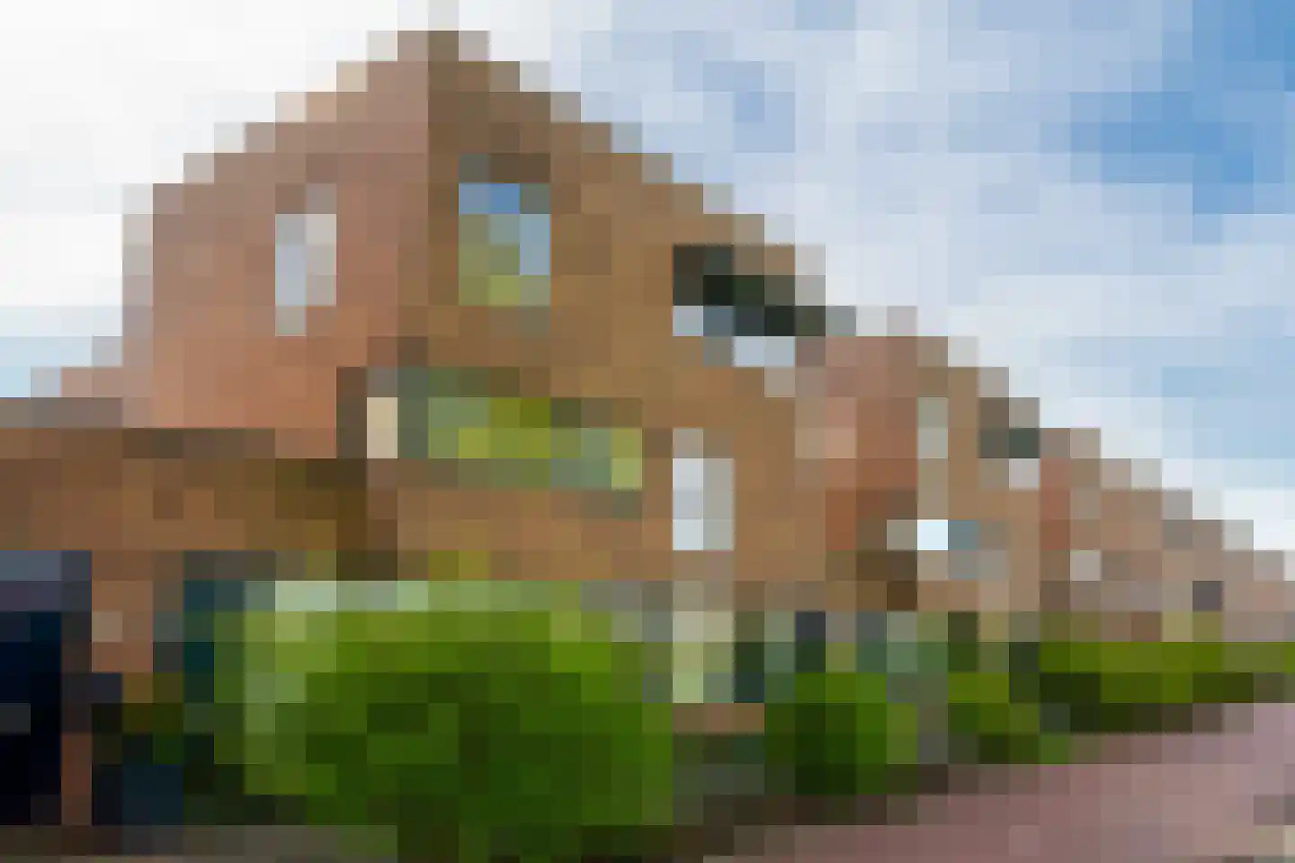 Romenpad 7 Berkel en Rodenrijs thumbnail 10