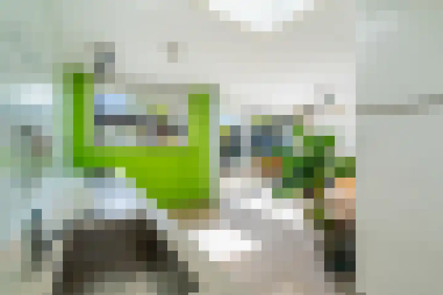 Romenpad 7 Berkel en Rodenrijs thumbnail 33