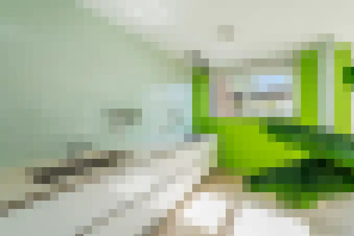Romenpad 7 Berkel en Rodenrijs thumbnail 34