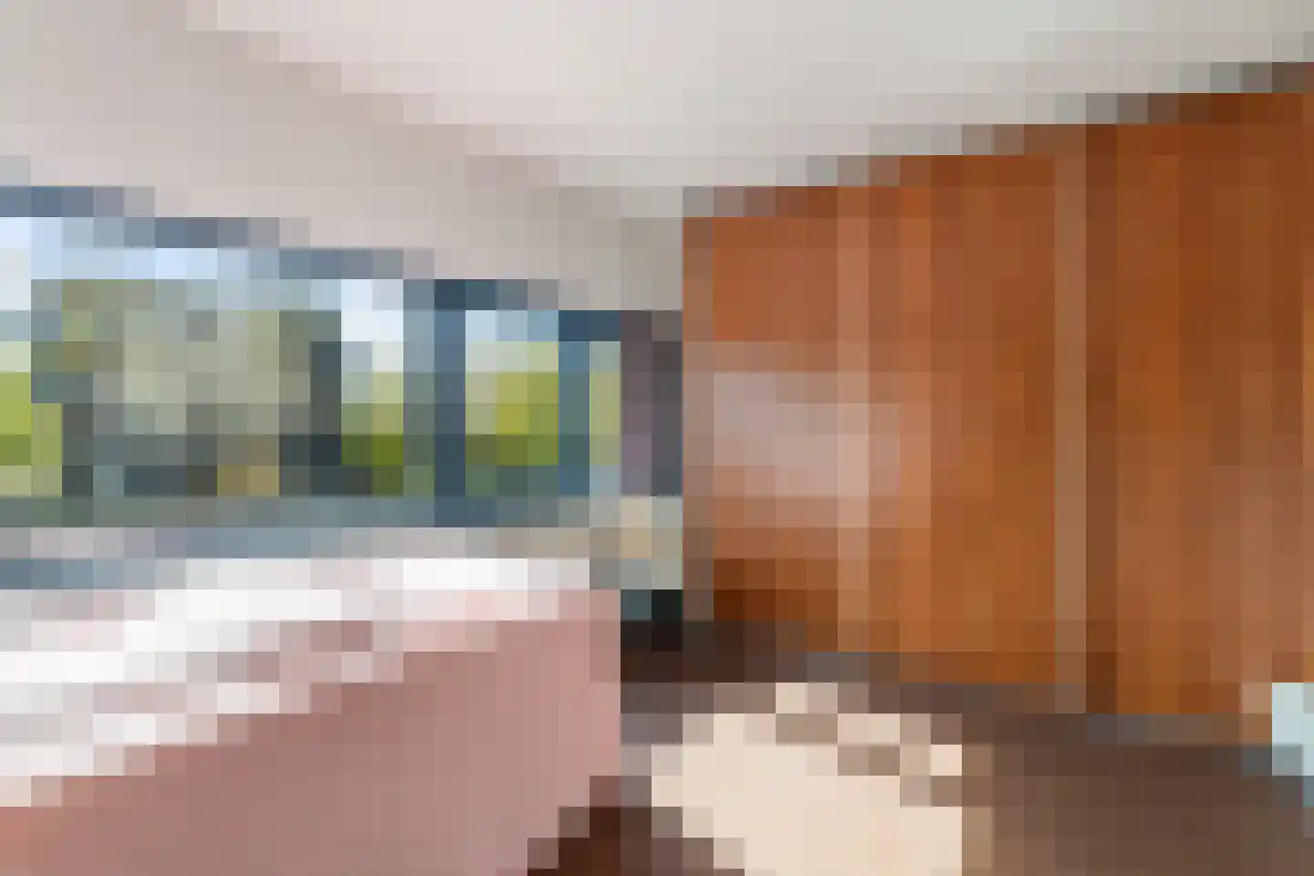 Romenpad 7 Berkel en Rodenrijs thumbnail 45