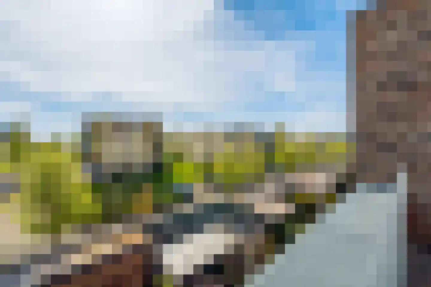 Romenpad 7 Berkel en Rodenrijs thumbnail 57