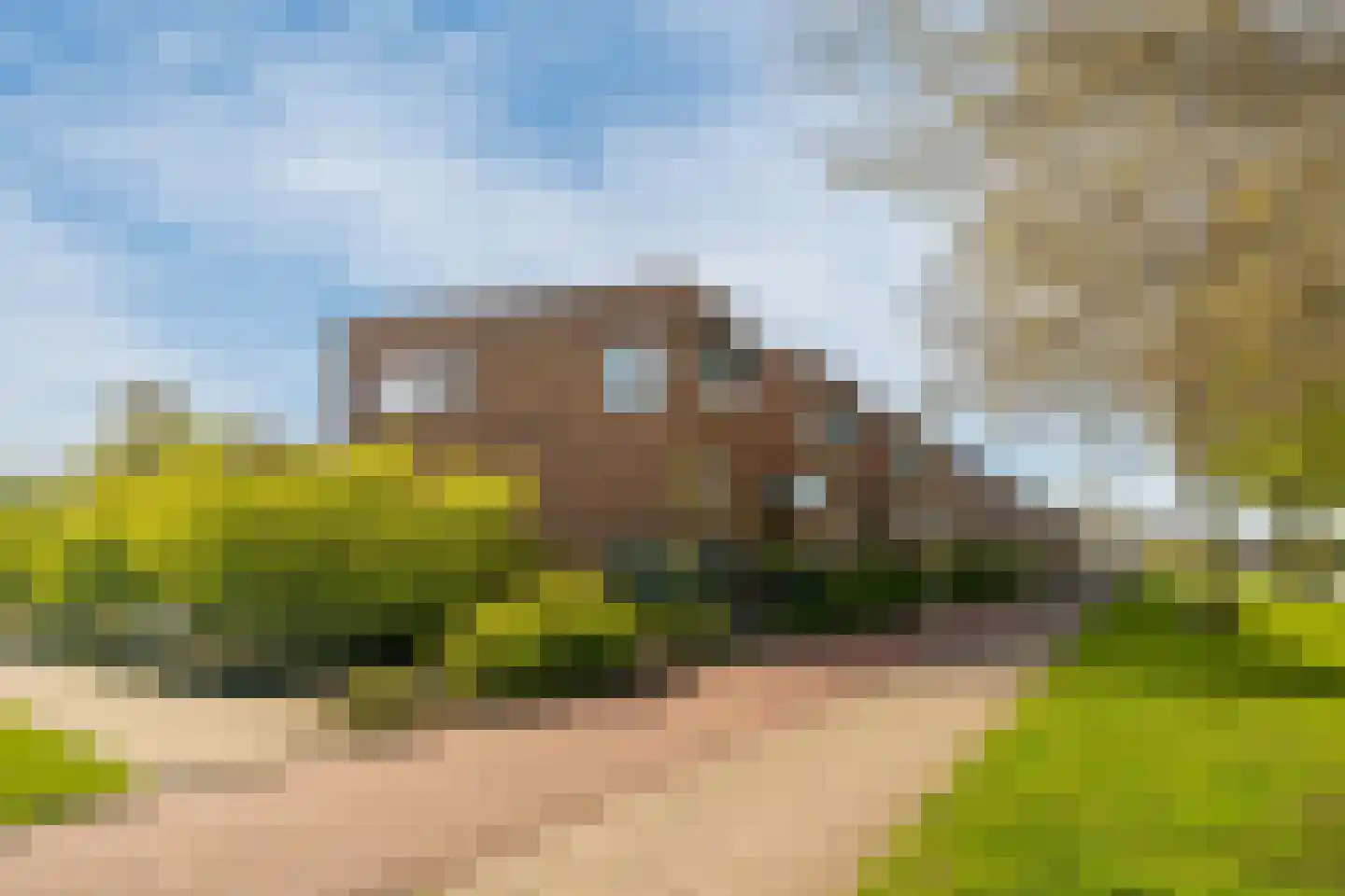 Romenpad 7 Berkel en Rodenrijs thumbnail 62