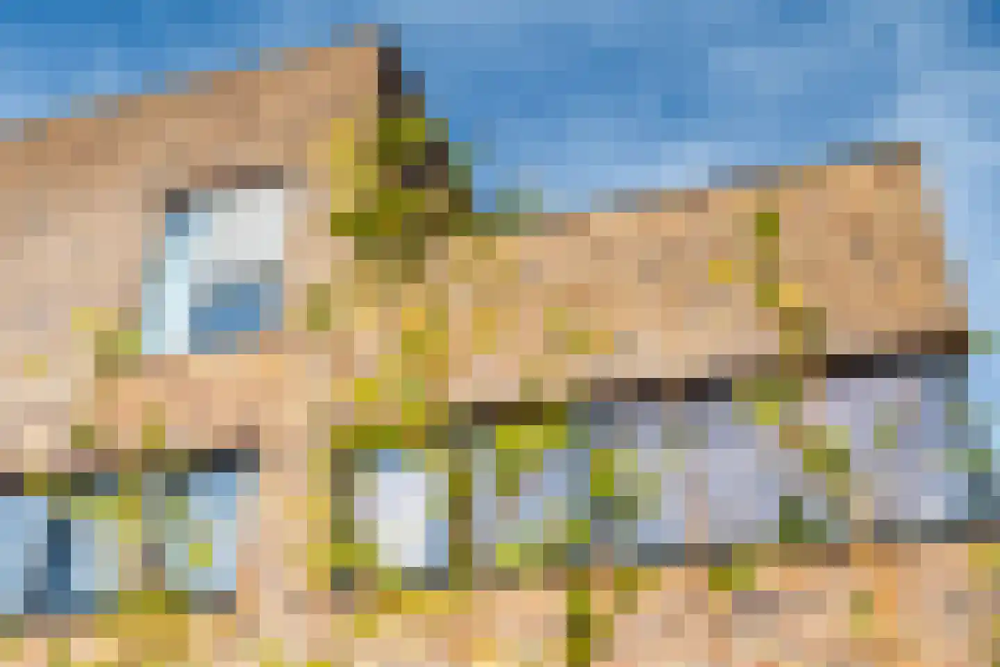 Romenpad 7 Berkel en Rodenrijs thumbnail 7