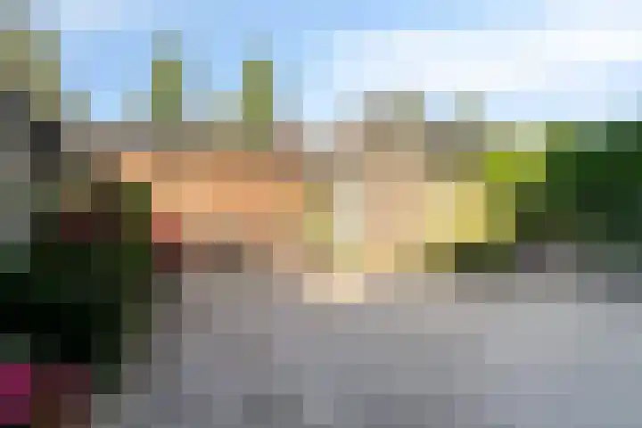 Romenpad 9 Berkel en Rodenrijs thumbnail 13