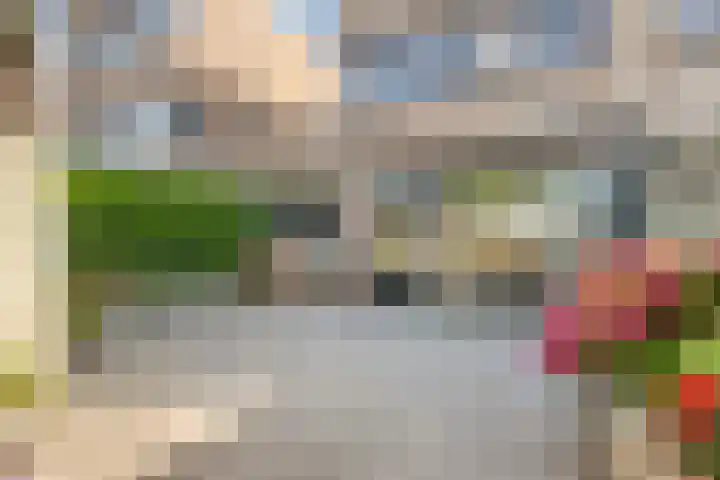 Romenpad 9 Berkel en Rodenrijs thumbnail 16