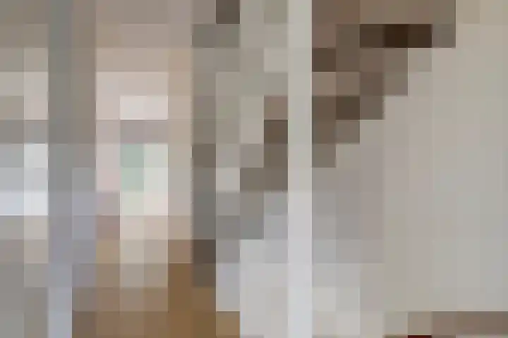 Romenpad 9 Berkel en Rodenrijs thumbnail 18