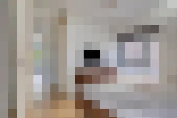 Romenpad 9 Berkel en Rodenrijs thumbnail 20