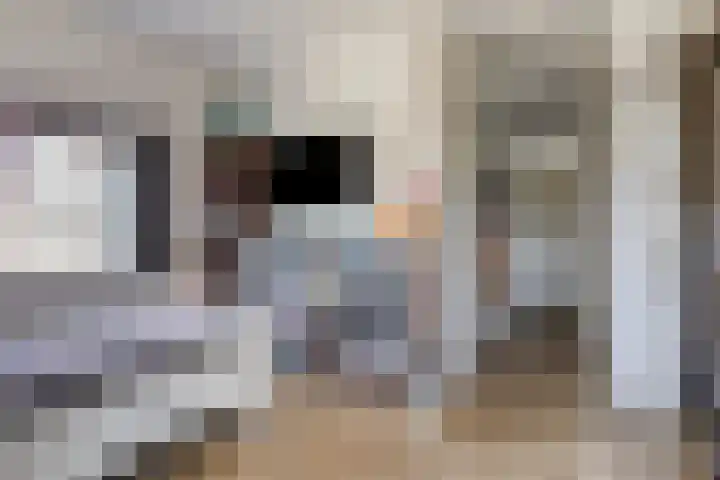 Romenpad 9 Berkel en Rodenrijs thumbnail 31