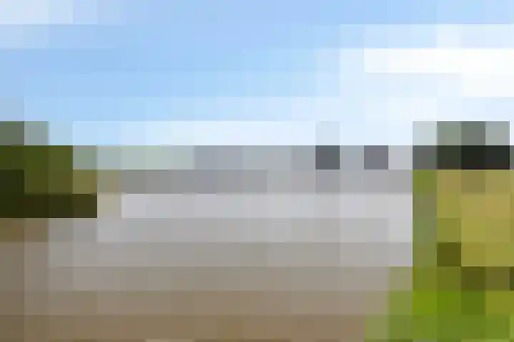 Romenpad 9 Berkel en Rodenrijs thumbnail 34