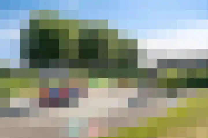 Romenpad 9 Berkel en Rodenrijs thumbnail 35