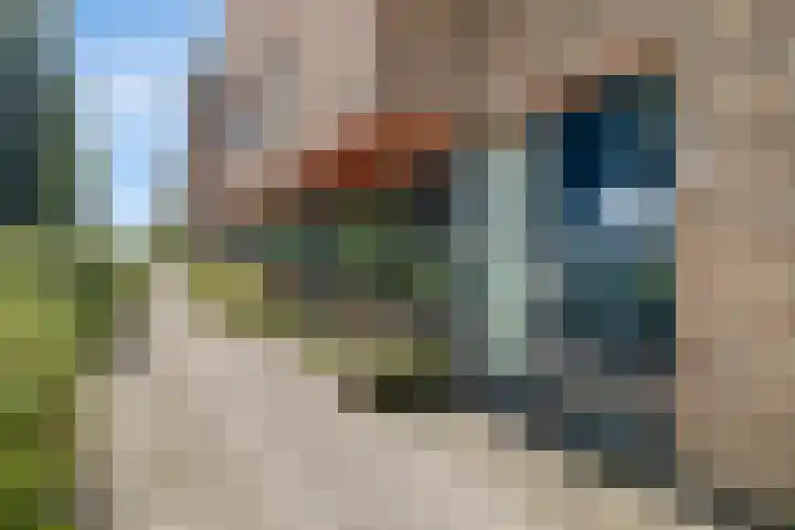 Romenpad 9 Berkel en Rodenrijs thumbnail 4