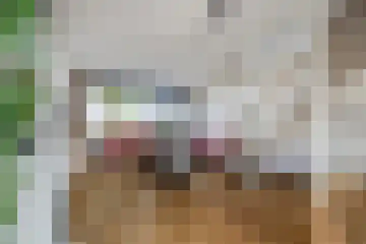 Romenpad 9 Berkel en Rodenrijs thumbnail 7