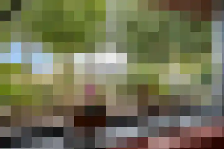 Romenpad 9 Berkel en Rodenrijs thumbnail 8