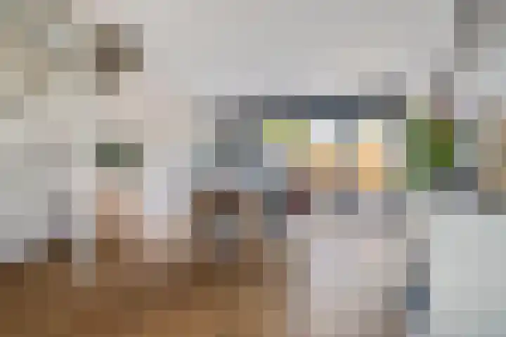 Romenpad 9 Berkel en Rodenrijs thumbnail 9