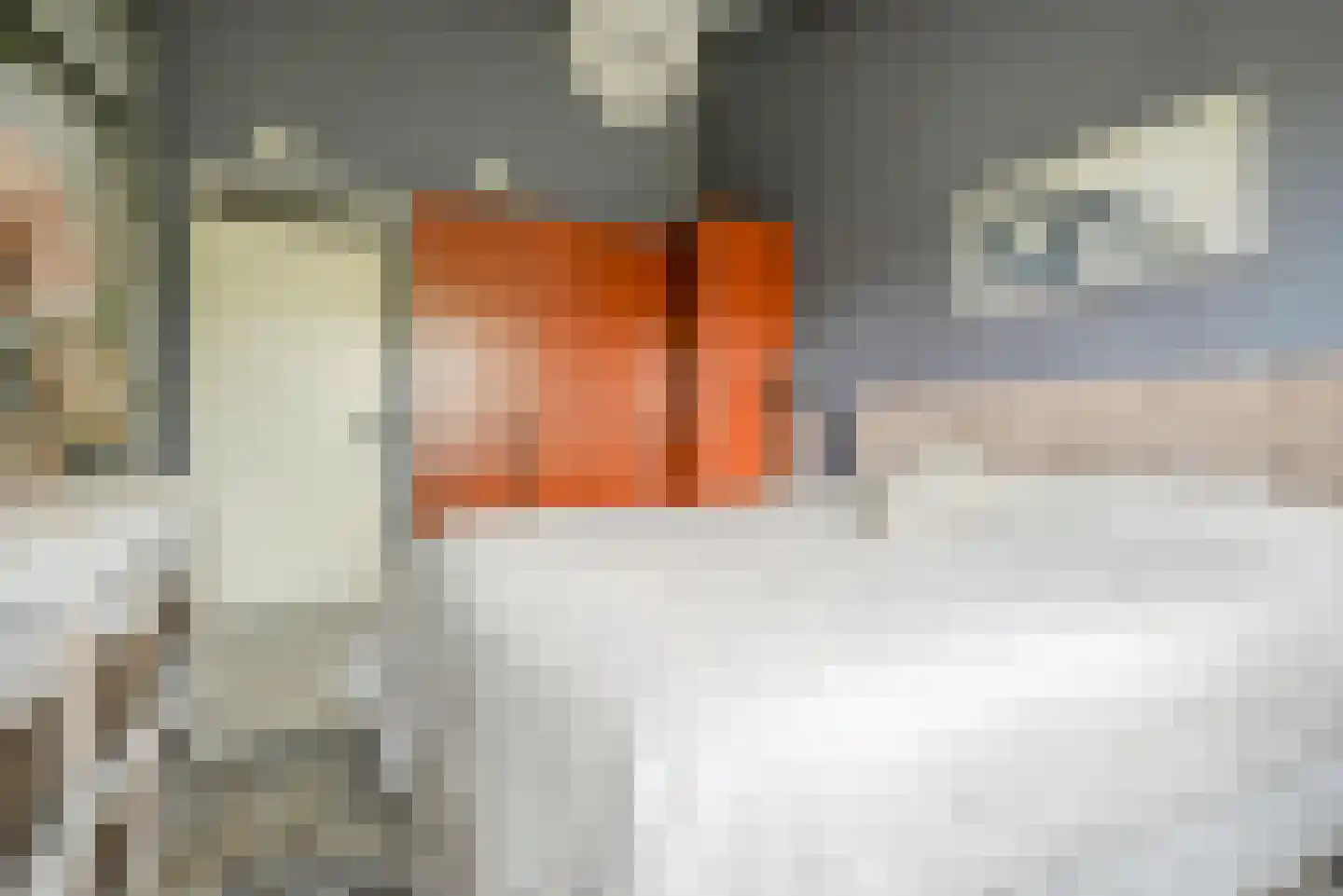 Romenpad 97 Berkel en Rodenrijs thumbnail 24