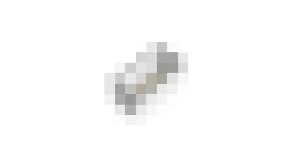 Romenpad 97 Berkel en Rodenrijs thumbnail 53