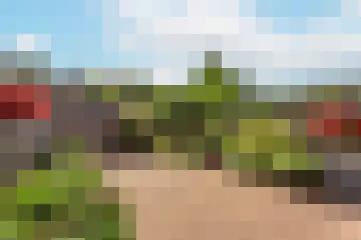 Romeolaan 10 Nieuwegein thumbnail 12