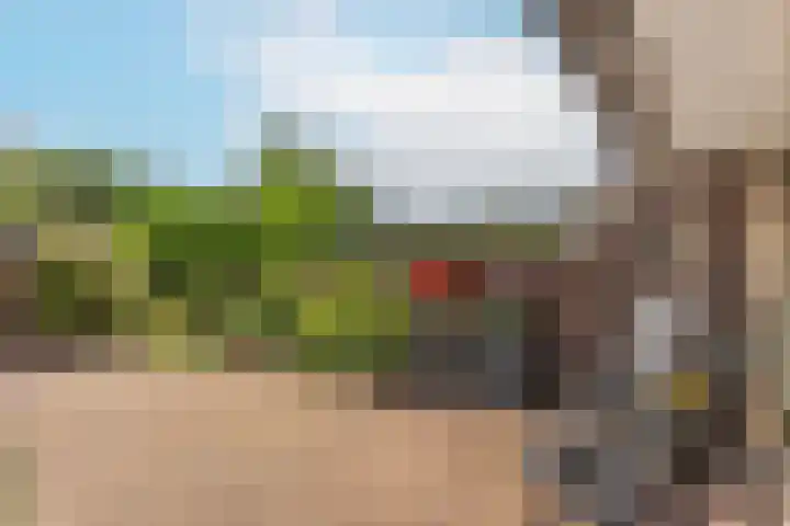 Romeolaan 10 Nieuwegein thumbnail 13