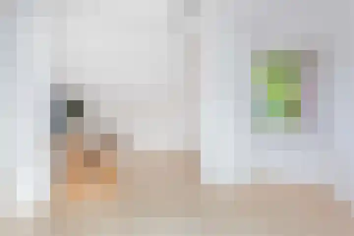 Romeolaan 10 Nieuwegein thumbnail 32
