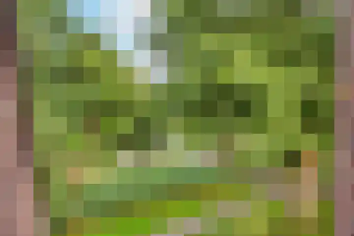 Romeolaan 10 Nieuwegein thumbnail 35