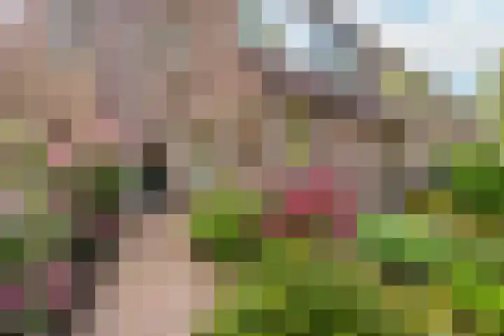 Romeolaan 10 Nieuwegein thumbnail 36