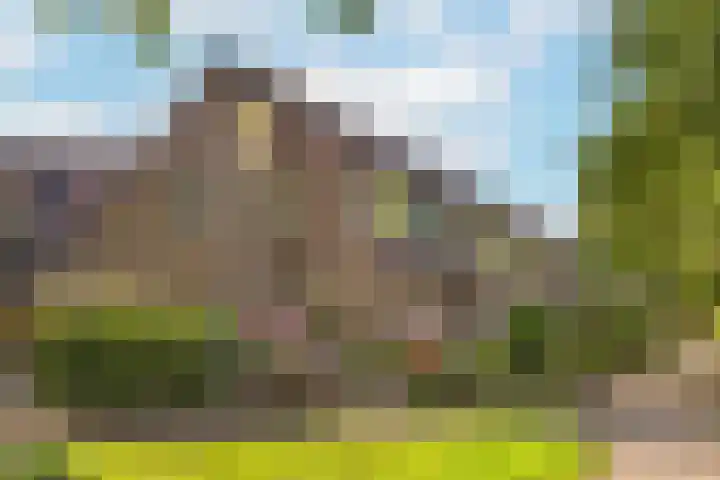 Romeolaan 10 Nieuwegein thumbnail 37