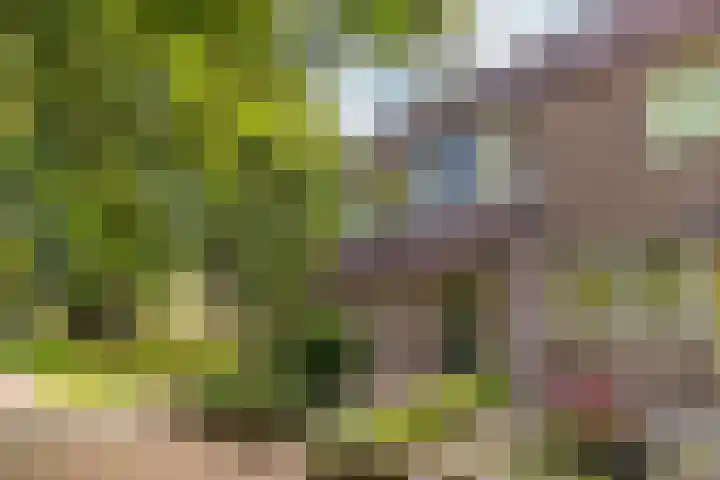 Romeolaan 10 Nieuwegein thumbnail 38