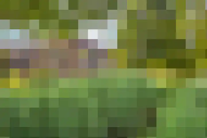 Romeolaan 10 Nieuwegein thumbnail 39