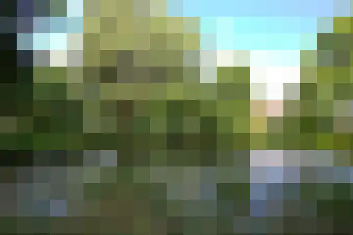 Romeolaan 10 Nieuwegein thumbnail 40