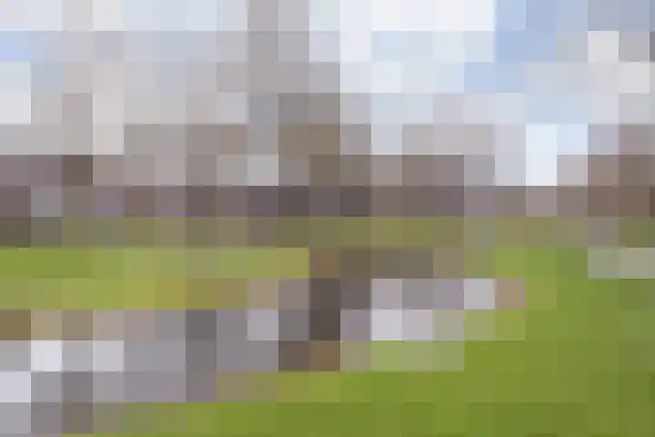 Romeolaan 10 Nieuwegein thumbnail 41