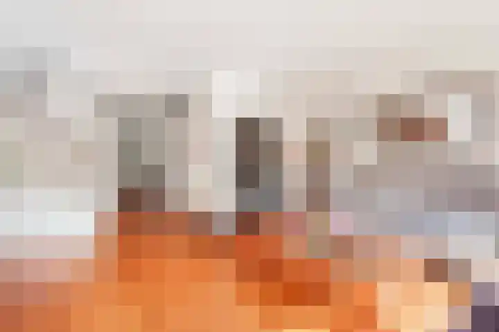 Romeolaan 10 Nieuwegein thumbnail 6