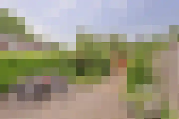 Romeolaan 4 Nieuwegein thumbnail 13