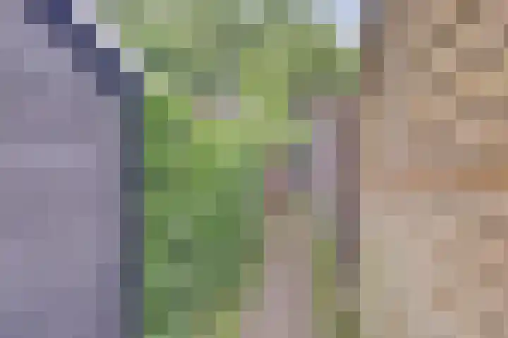 Romeolaan 4 Nieuwegein thumbnail 15