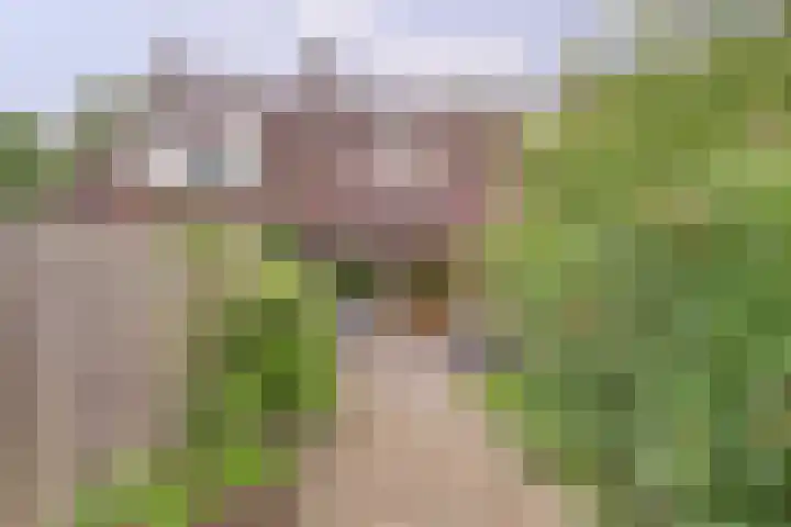 Romeolaan 4 Nieuwegein thumbnail 16