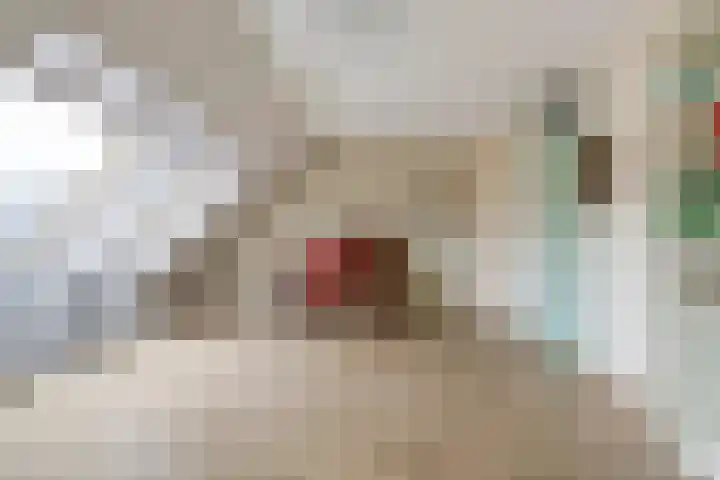 Romeolaan 4 Nieuwegein thumbnail 23