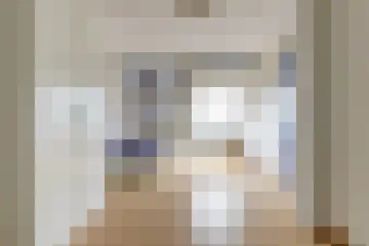Romeolaan 4 Nieuwegein thumbnail 27
