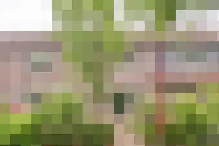 Romeolaan 4 Nieuwegein thumbnail 30