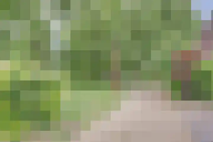 Romeolaan 4 Nieuwegein thumbnail 33