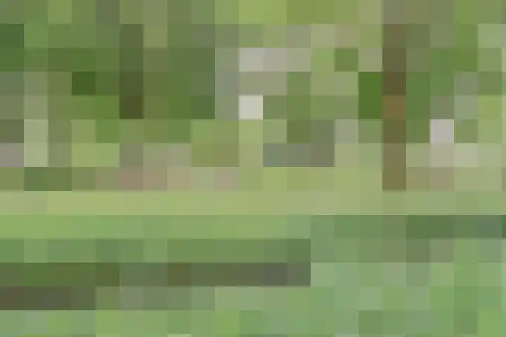 Romeolaan 4 Nieuwegein thumbnail 34