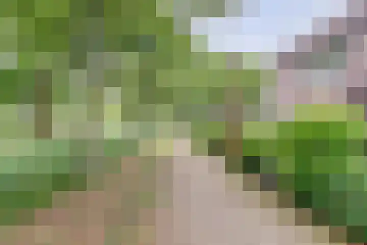 Romeolaan 4 Nieuwegein thumbnail 35