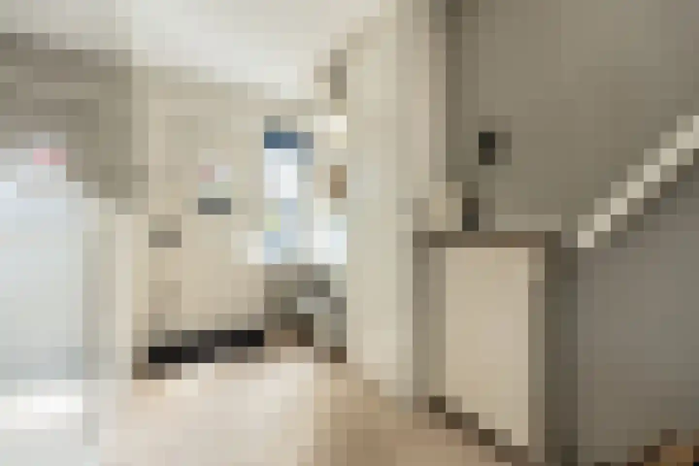 Romerkerkweg 103 Beverwijk thumbnail 7