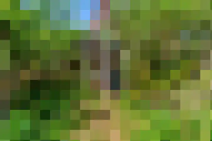 Romerkerkweg 107 Beverwijk thumbnail 27