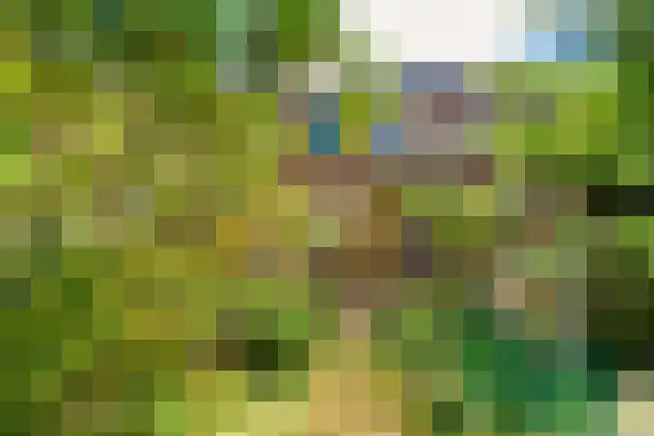 Romerkerkweg 107 Beverwijk thumbnail 28